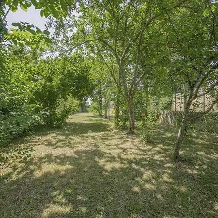 Le Des Remparts * Chaource